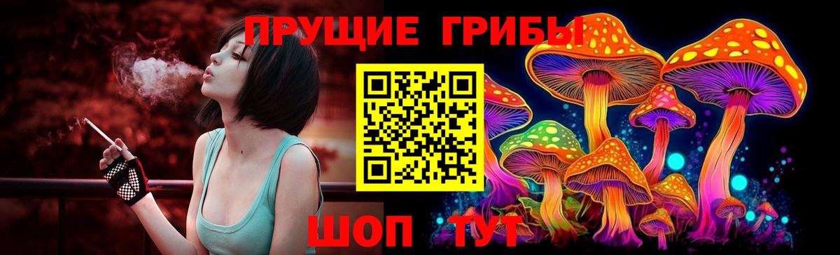 Тула  Псилоцибиновые грибы GOLDEN TEACHER  Псилоцибиновые грибы мухоморы  Вход с VPN 